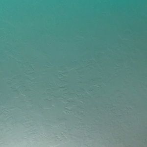 Meet your Posher, Liv